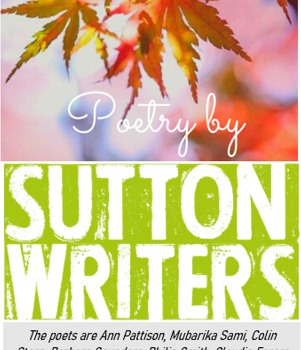 Our poets share their work in our Autumn Anthology